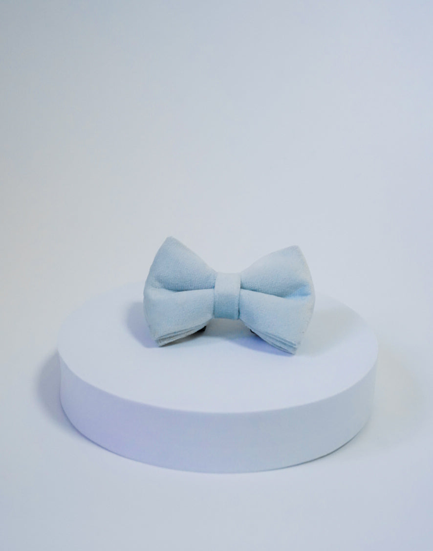 Royal Velvet Bow