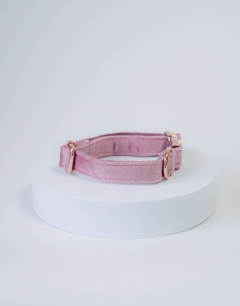 Royal Velvet Collars