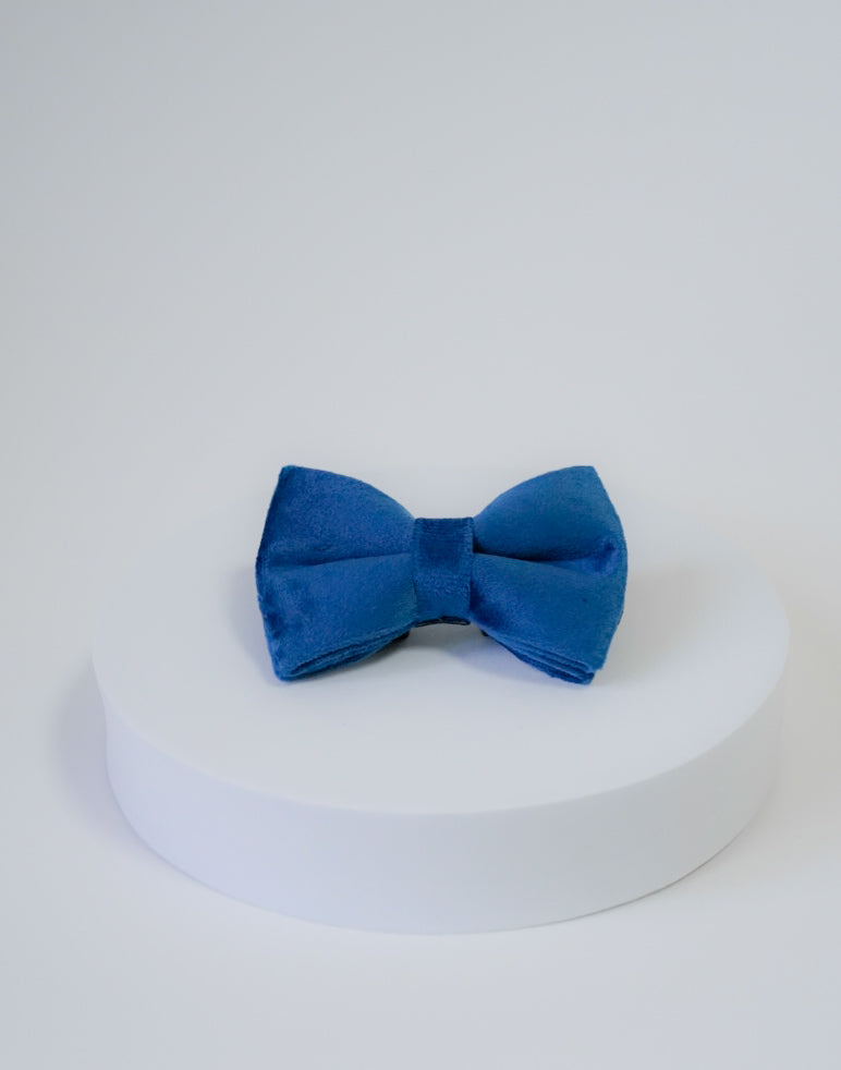 Royal Velvet Bow