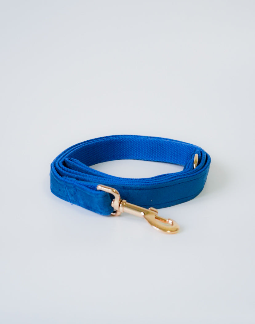 Royal Velvet Leash