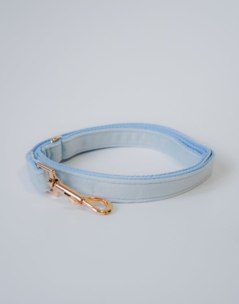 Royal Velvet Leash