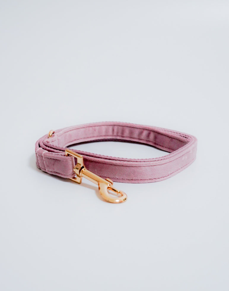 Royal Velvet Leash